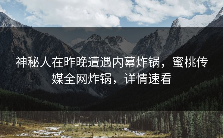 神秘人在昨晚遭遇内幕炸锅，蜜桃传媒全网炸锅，详情速看