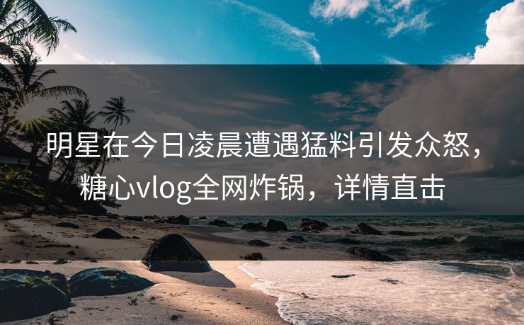 明星在今日凌晨遭遇猛料引发众怒，糖心vlog全网炸锅，详情直击