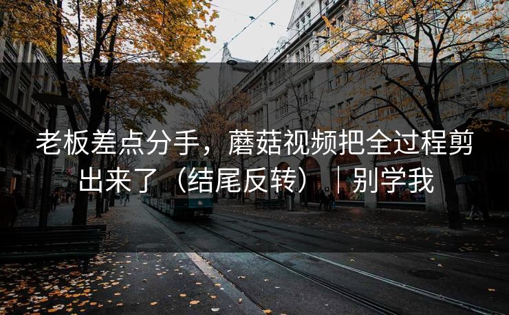 老板差点分手，蘑菇视频把全过程剪出来了（结尾反转）｜别学我